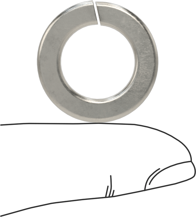 18-8 Paslanmaz Çelik Yaylı Pul, M14 Vida Boyutu için, 14.7 mm ID, 24.1 mm OD