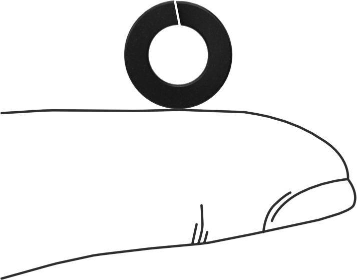18-8 Paslanmaz Çelik Yaylı Pul, Siyah Oksit, M6 Vida Boyutu için, 6.5 mm ID, 11.8 mm OD