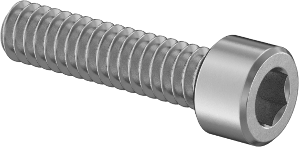 Süper Korozyona Dayanıklı 316 Paslanmaz Çelik Soket Başlı Vida, 0-80 Diş Boyutu, 1/4" Uzunluk