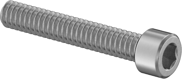 Süper Korozyona Dayanıklı 316 Paslanmaz Çelik Soket Başlı Vida, 0-80 Diş Boyutu, 3/8" Uzunluk