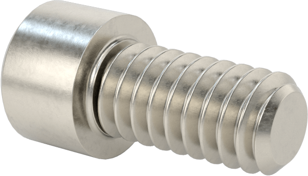 Sol Dişli 18-8 Paslanmaz Çelik Soket Başlı Vida, 1/4"-20 Diş Boyutu, 1/2" Uzunluk