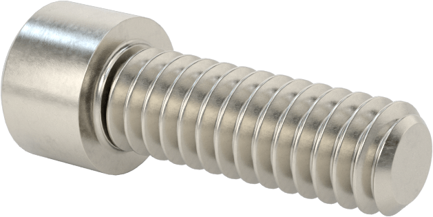 Sol Dişli 18-8 Paslanmaz Çelik Soket Başlı Vida, 1/4"-20 Diş Boyutu, 3/4" Uzunluk