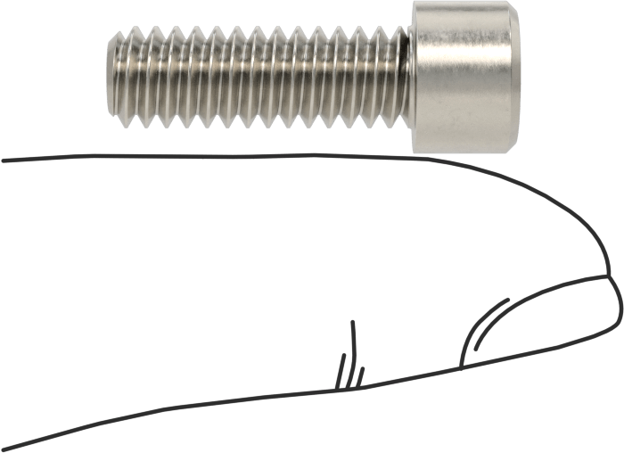 Sol Dişli 18-8 Paslanmaz Çelik Soket Başlı Vida, 1/4"-20 Diş Boyutu, 3/4" Uzunluk