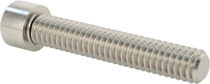 Sol Dişli 18-8 Paslanmaz Çelik Soket Başlı Vida, 1/4"-20 Diş Boyutu, 1-1/2" Uzunluk