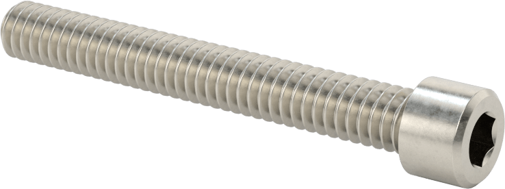 Sol Dişli 18-8 Paslanmaz Çelik Soket Başlı Vida, 1/4"-20 Diş Boyutu, 2" Uzunluk