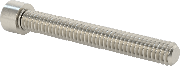 Sol Dişli 18-8 Paslanmaz Çelik Soket Başlı Vida, 1/4"-20 Diş Boyutu, 2" Uzunluk