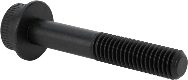 Flanşlı Soket Başlı Vida, M5 x 0,8 mm Diş, 30 mm Uzunluk