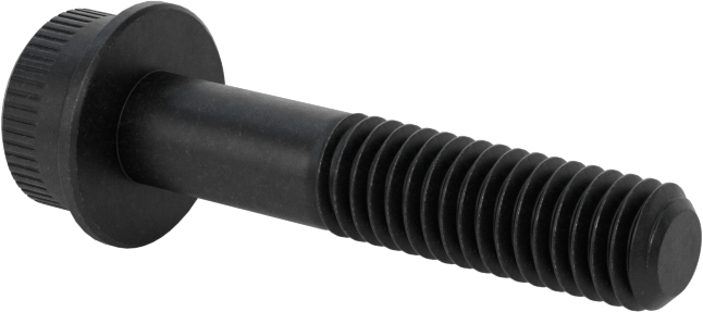 Flanşlı Soket Başlı Vida, M6 x 1 mm Diş, 30 mm Uzunluk