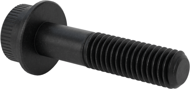 Flanşlı Soket Başlı Vida, M8 x 1,25 mm Diş, 35 mm Uzunluk