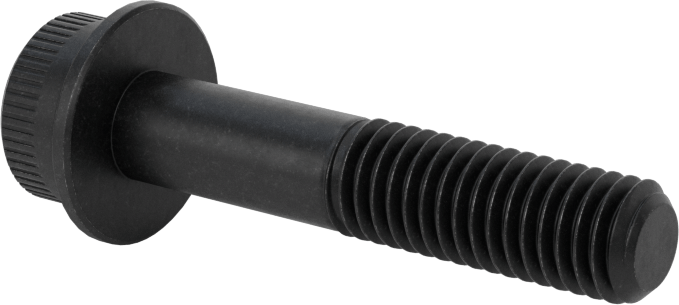 Flanşlı Soket Başlı Vida, M8 x 1,25 mm Diş, 40 mm Uzunluk