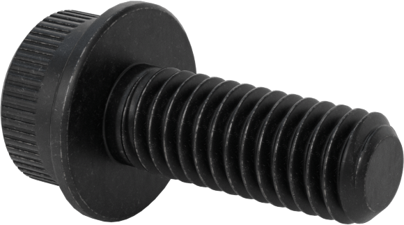 Flanşlı Soket Başlı Vida, M6 x 1 mm Diş, 16 mm Uzunluk