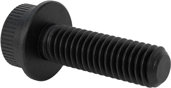 Flanşlı Soket Başlı Vida, M6 x 1 mm Diş, 20 mm Uzunluk