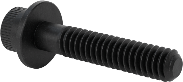 Flanşlı Soket Başlı Vida, 1/4"-20 Diş Boyutu, 1-1/4" Uzunluk