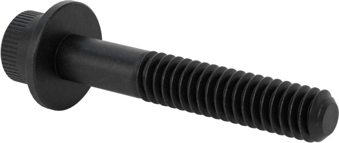 Flanşlı Soket Başlı Vida, 1/4"-20 Diş Boyutu, 1-1/2" Uzunluk