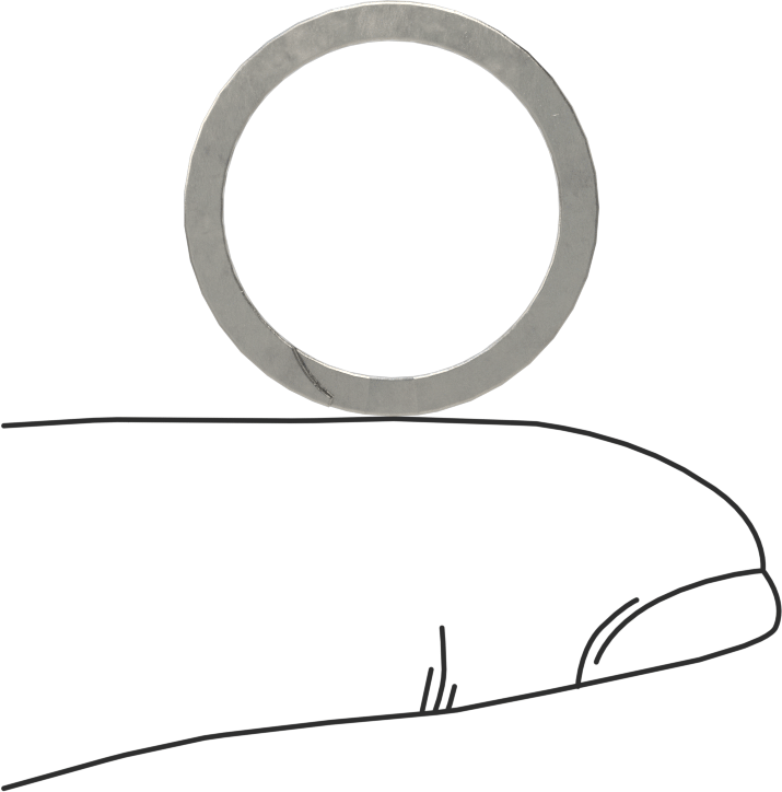 Ağır Hizmet Tipi Spiral Dış Tutma Halkası, 18 mm Dış Çap için, 18-8 Paslanmaz Çelik