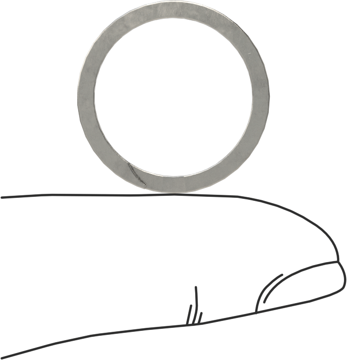 Ağır Hizmet Tipi Spiral Dış Tutma Halkası, 19 mm Dış Çap için, 18-8 Paslanmaz Çelik