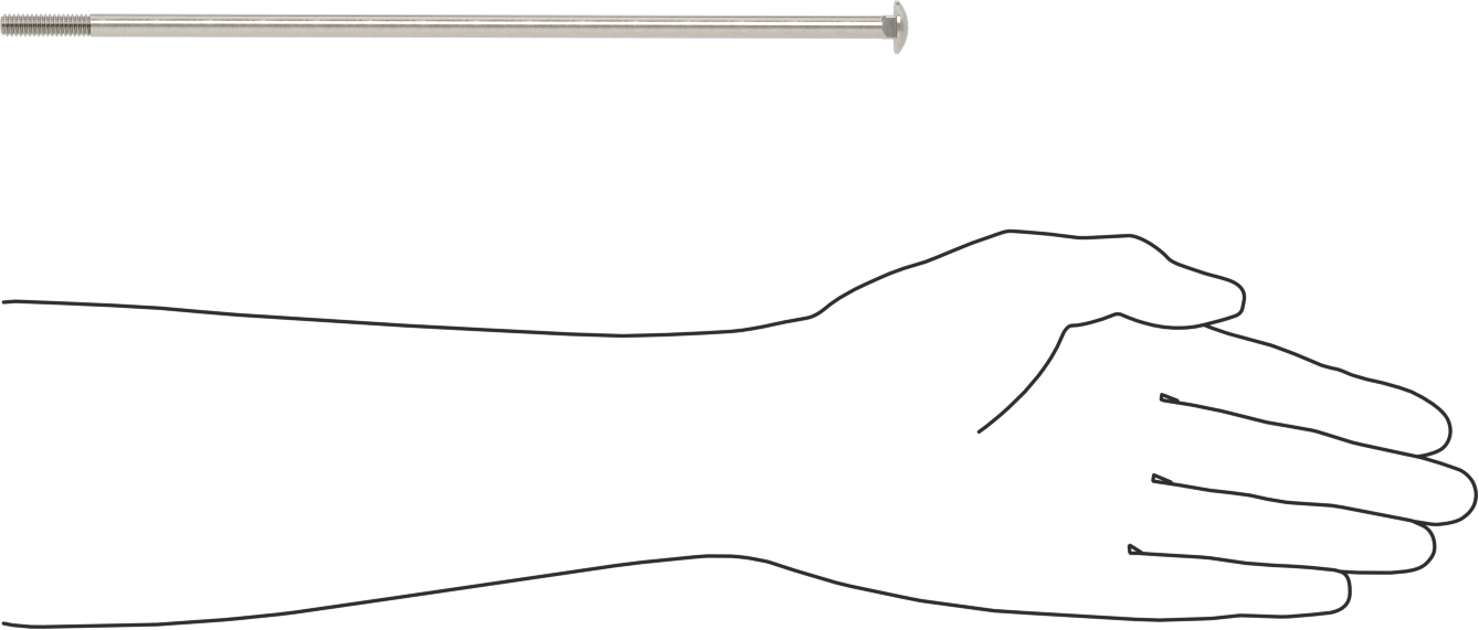 18-8 Paslanmaz Çelik Kare Boyunlu Taşıma Cıvatası, 1/4"-20 Diş Boyutu, 10" Uzunluk