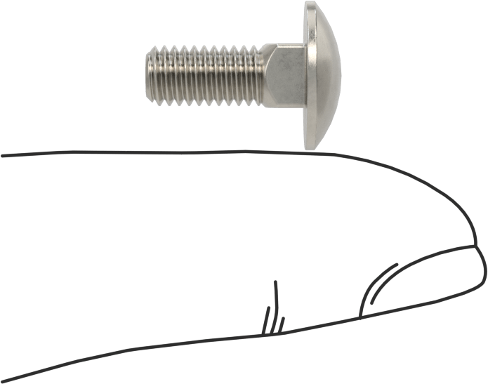 18-8 Paslanmaz Çelik Kare Boyunlu Taşıma Cıvatası, 10-32 Diş Boyutu, 1/2" Uzunluk