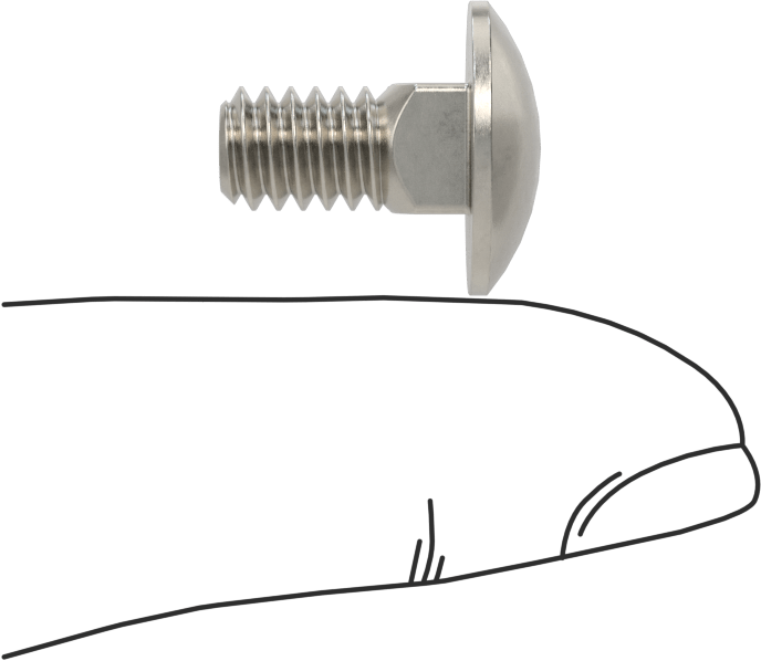 18-8 Paslanmaz Çelik Kare Boyunlu Taşıma Cıvatası, 1/4"-20 Diş Boyutu, 1/2" Uzunluk