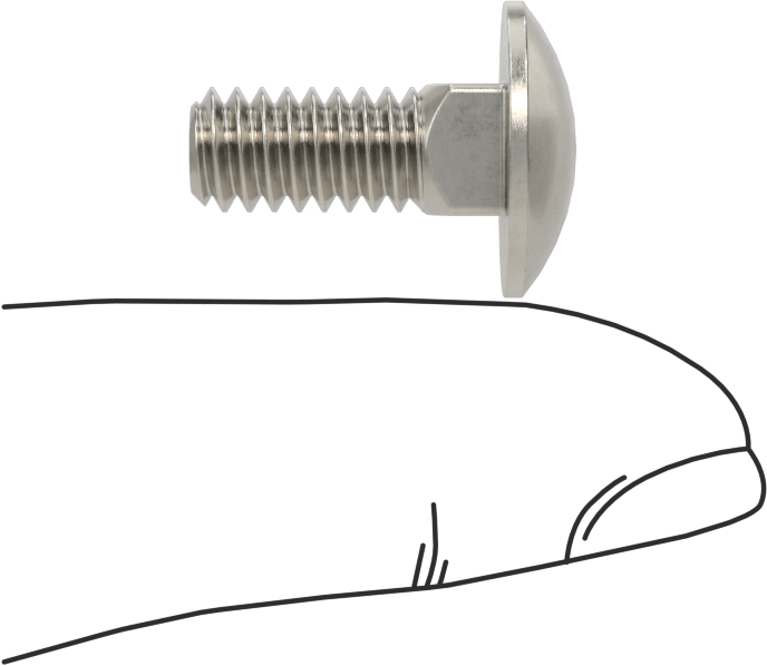 18-8 Paslanmaz Çelik Kare Boyunlu Taşıma Cıvatası, 1/4"-20 Diş Boyutu, 5/8" Uzunluk
