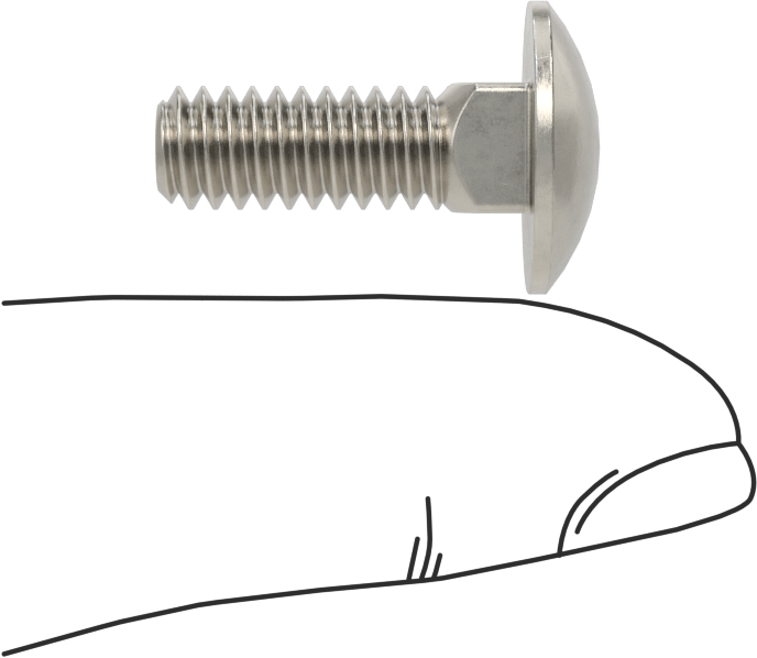 18-8 Paslanmaz Çelik Kare Boyunlu Taşıma Cıvatası, 1/4"-20 Diş Boyutu, 3/4" Uzunluk
