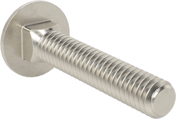 18-8 Paslanmaz Çelik Kare Boyunlu Taşıma Cıvatası, 1/4"-20 Diş Boyutu, 1-1/2" Uzunluk