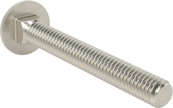 18-8 Paslanmaz Çelik Kare Boyunlu Taşıma Cıvatası, 1/4"-20 Diş Boyutu, 2-1/4" Uzunluk