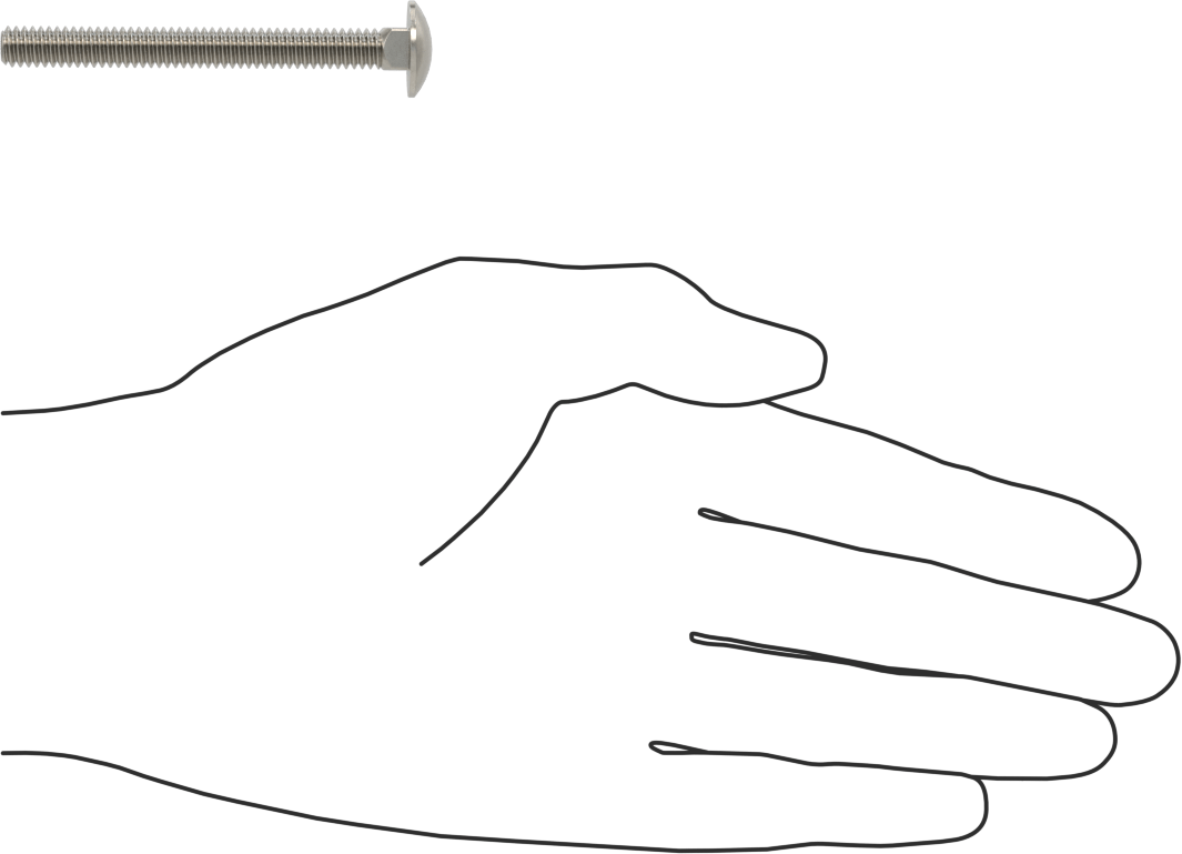 18-8 Paslanmaz Çelik Kare Boyunlu Taşıma Cıvatası, 1/4"-20 Diş Boyutu, 2-1/2" Uzunluk