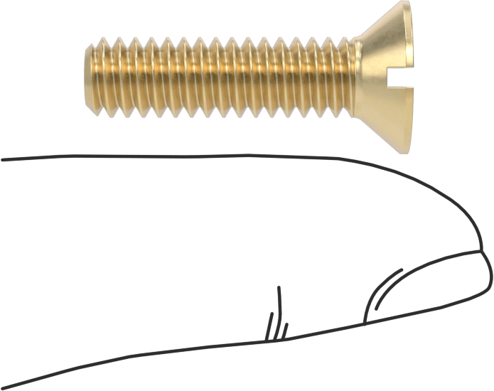 Pirinç Oluklu Düz Başlı Vida, 1/4"-20 Diş Boyutu, 1" Uzunluk