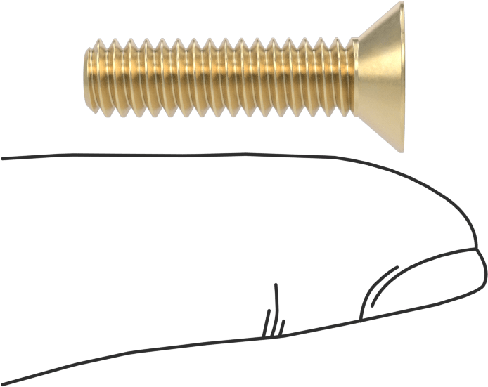 Pirinç Phillips Düz Başlı Vida, 1/4"-20 Diş Boyutu, 1" Uzunluk