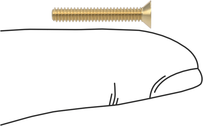 Pirinç Phillips Düz Başlı Vida, 4-40 Diş Boyutu, 3/4" Uzunluk
