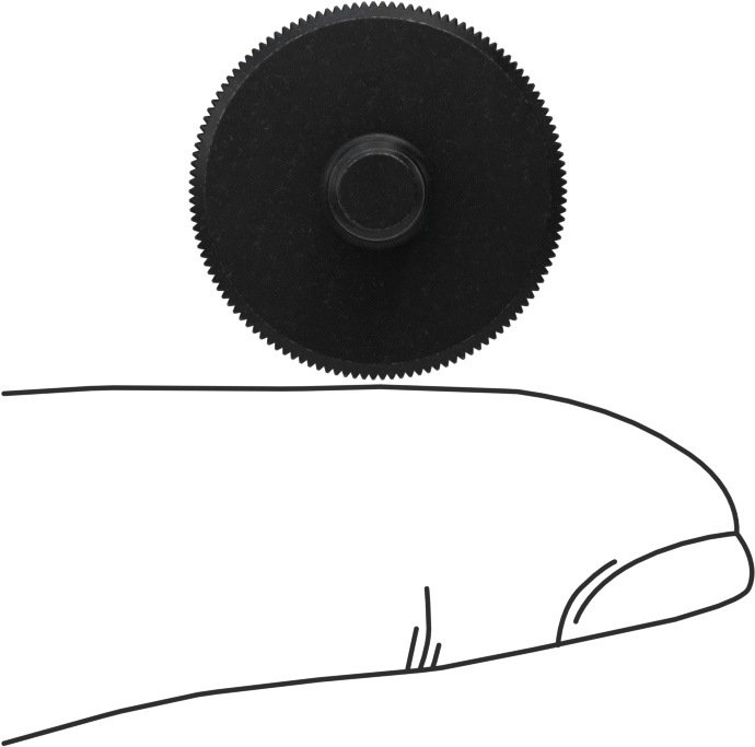 Çelik Düşük Profilli Tırtıllı Başlı Parmak Vidası, M5 x 0,8 mm Diş Boyutu, 10 mm Uzunluk