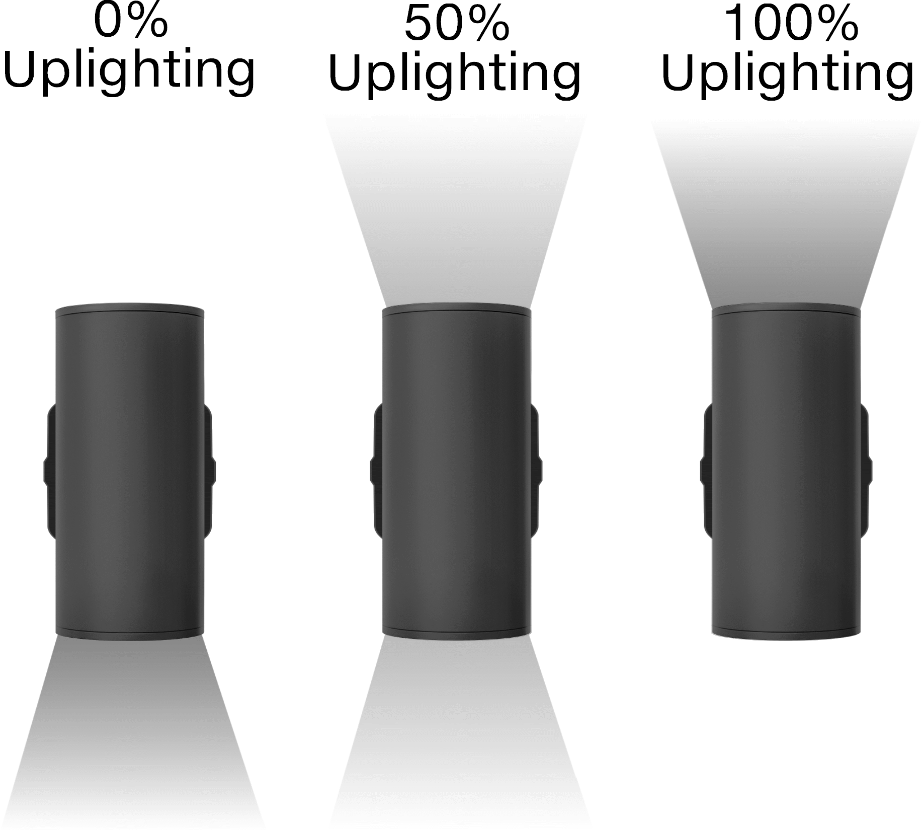 Light Distribution