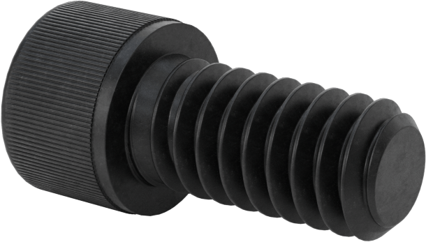 Sınıf B7 Yüksek Sıcaklık Alaşımlı Çelik Soket Başlı Vidalar, 1/4"-20 Diş Boyutu, 1/2" Uzunluk