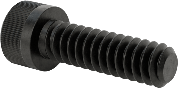 Torx Alaşımlı Çelik Soket Başlı Vidalar, 4-40 Diş Boyutu, 3/8" Uzunluk