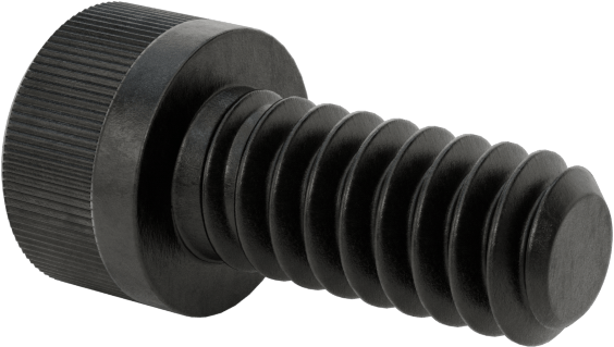Torx Alaşımlı Çelik Soket Başlı Vidalar, 4-40 Diş Boyutu, 1/4" Uzunluk
