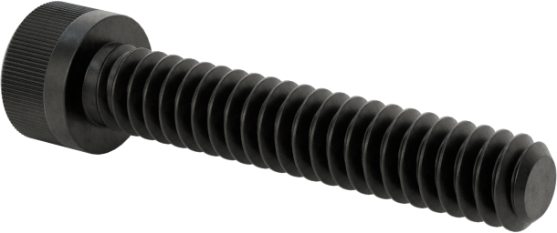 Torx Alaşımlı Çelik Soket Başlı Vidalar, 4-40 Diş Boyutu, 5/8" Uzunluk