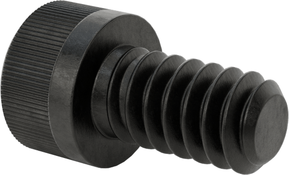 Torx Alaşımlı Çelik Soket Başlı Vidalar, 6-32 Diş Boyutu, 1/4" Uzunluk