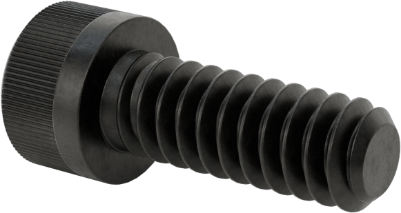 Torx Alaşımlı Çelik Soket Başlı Vidalar, 6-32 Diş Boyutu, 3/8" Uzunluk