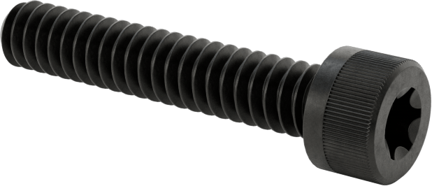 Torx Alaşımlı Çelik Soket Başlı Vidalar, 6-32 Diş Boyutu, 3/4" Uzunluk