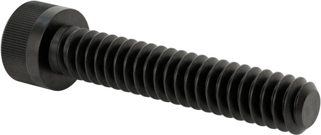 Torx Alaşımlı Çelik Soket Başlı Vidalar, 6-32 Diş Boyutu, 3/4" Uzunluk