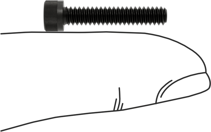 Torx Alaşımlı Çelik Soket Başlı Vidalar, 6-32 Diş Boyutu, 3/4" Uzunluk
