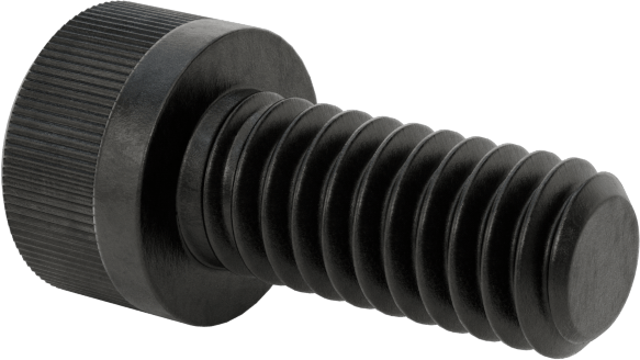Torx Alaşımlı Çelik Soket Başlı Vidalar, 8-32 Diş Boyutu, 3/8" Uzunluk