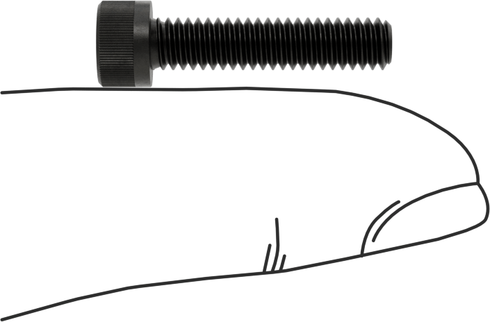 Torx Alaşımlı Çelik Soket Başlı Vidalar, 8-32 Diş Boyutu, 3/4" Uzunluk