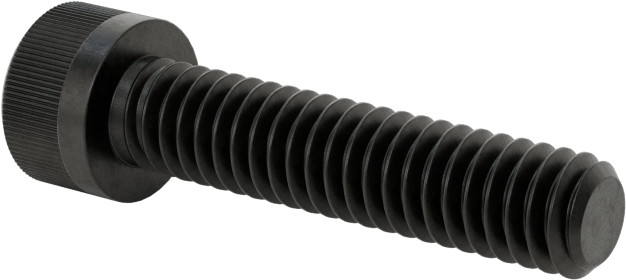Torx Alaşımlı Çelik Soket Başlı Vidalar, 8-32 Diş Boyutu, 3/4" Uzunluk
