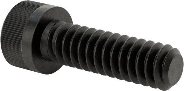 Torx Alaşımlı Çelik Soket Başlı Vidalar, 10-24 Diş Boyutu, 5/8" Uzunluk
