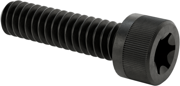 Torx Alaşımlı Çelik Soket Başlı Vidalar, 10-24 Diş Boyutu, 3/4" Uzunluk