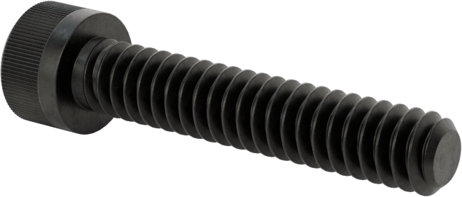 Torx Alaşımlı Çelik Soket Başlı Vidalar, 10-24 Diş Boyutu, 1" Uzunluk