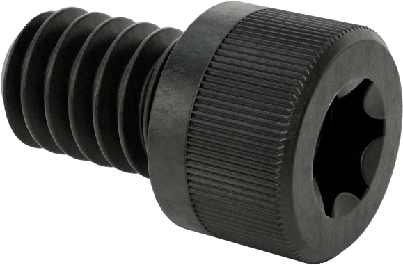 Torx Alaşımlı Çelik Soket Başlı Vidalar, 1/4"-20 Diş Boyutu, 3/8" Uzunluk
