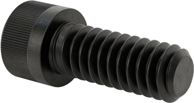 Torx Alaşımlı Çelik Soket Başlı Vidalar, 1/4"-20 Diş Boyutu, 5/8" Uzunluk